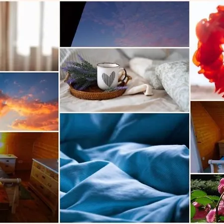 Ferienhaus Mit Sauna Und Whirlpool * Beckerwitz